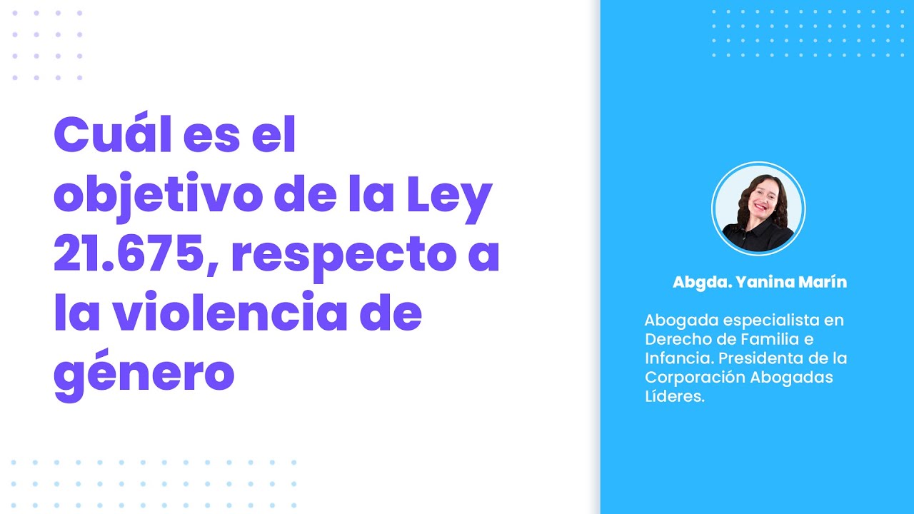 Cuál es el objetivo de la Ley 21.675, respecto a la violencia de género
