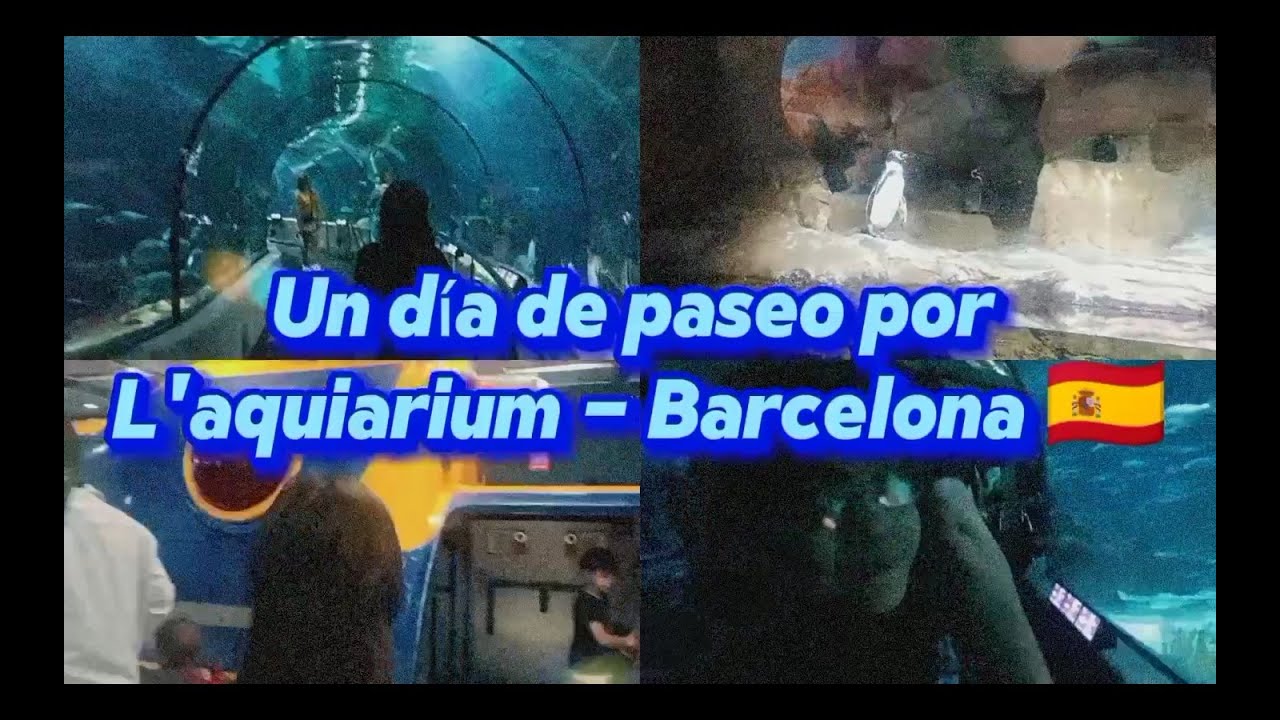 Un día de paseo por L'aquiarium   Barcelona