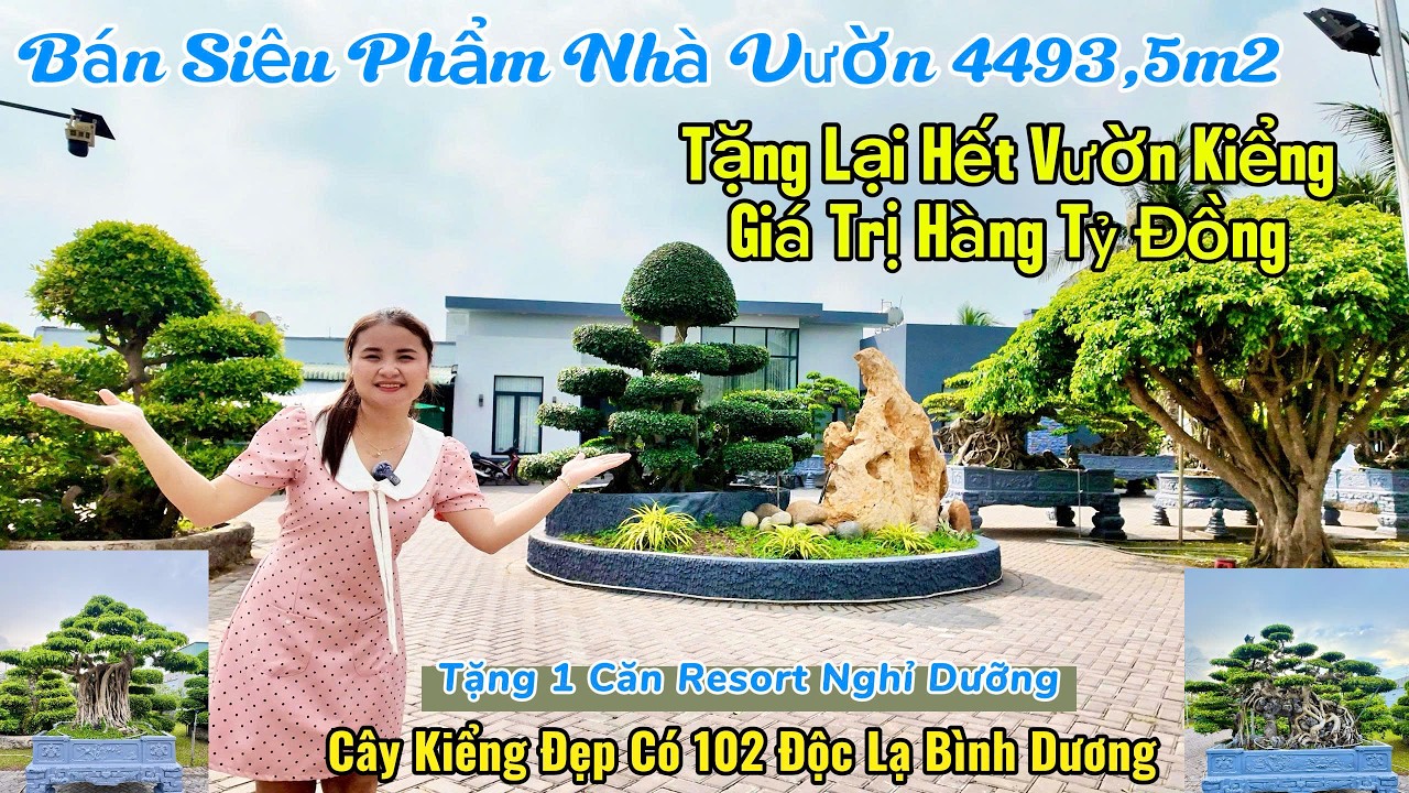 siêu phẩm nhà vườn mặt tiền quá lớn tặng lại vườn kiểng siêu khủng trị giá lên tới hàng tỷ đồng