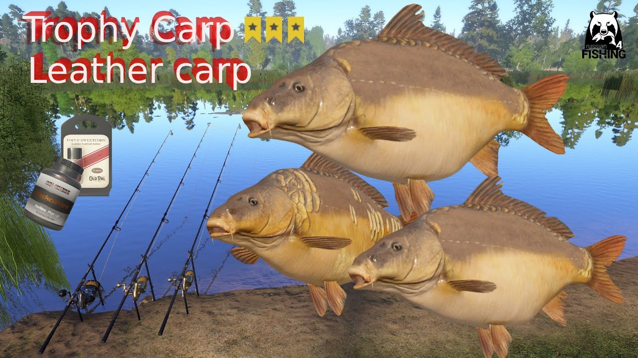 Russian Fishing 4 RF4 Bear Lake | Active Spot For Trophies. 14 Min 940 silver 3x Trophy