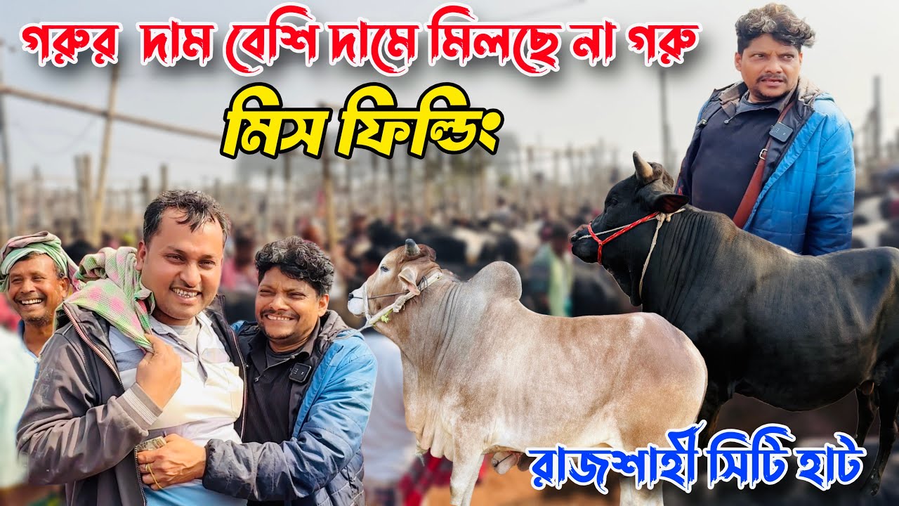 গরম বাজারে নরম হয়ে কিনতে পাচ্ছেন না গরু🔥সেলিব্রিটি আকরাম ভাইয়ের মাংসের গরুর দর দাম#cow_price 