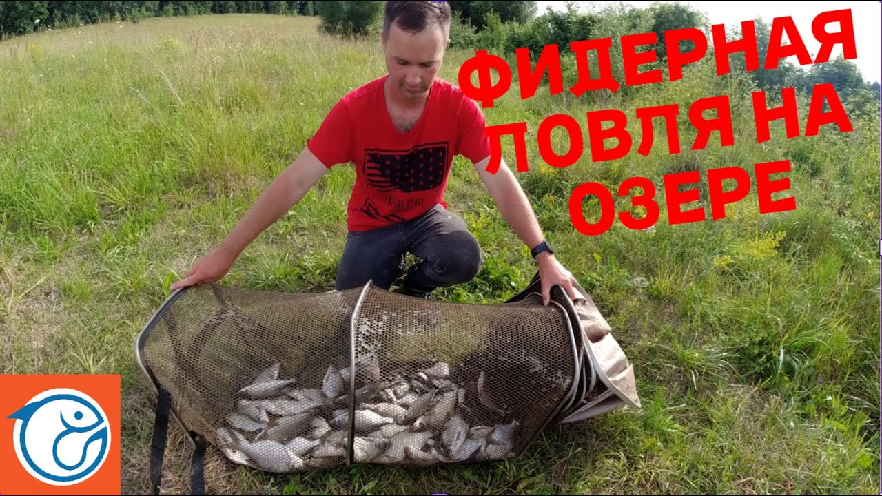Фидер на озере. Тетеринское водохранилище. Хороший клёв рыбы.