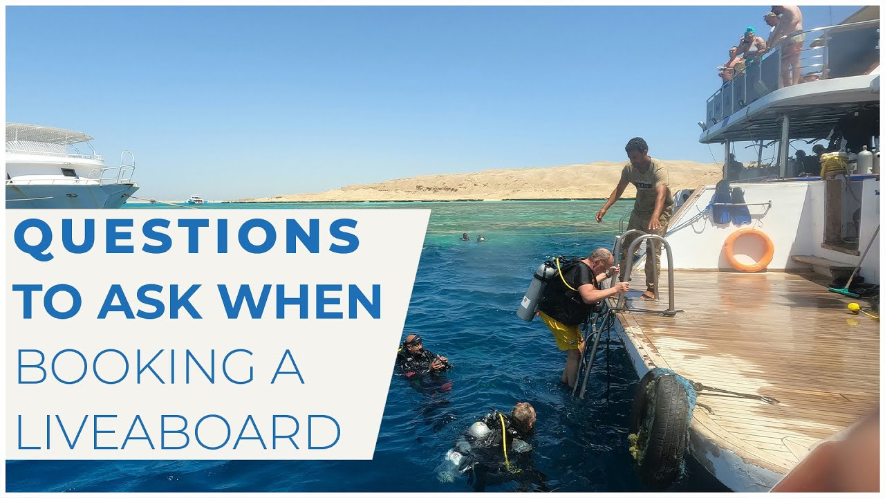 Questions to Ask When Booking a Scuba Liveaboard