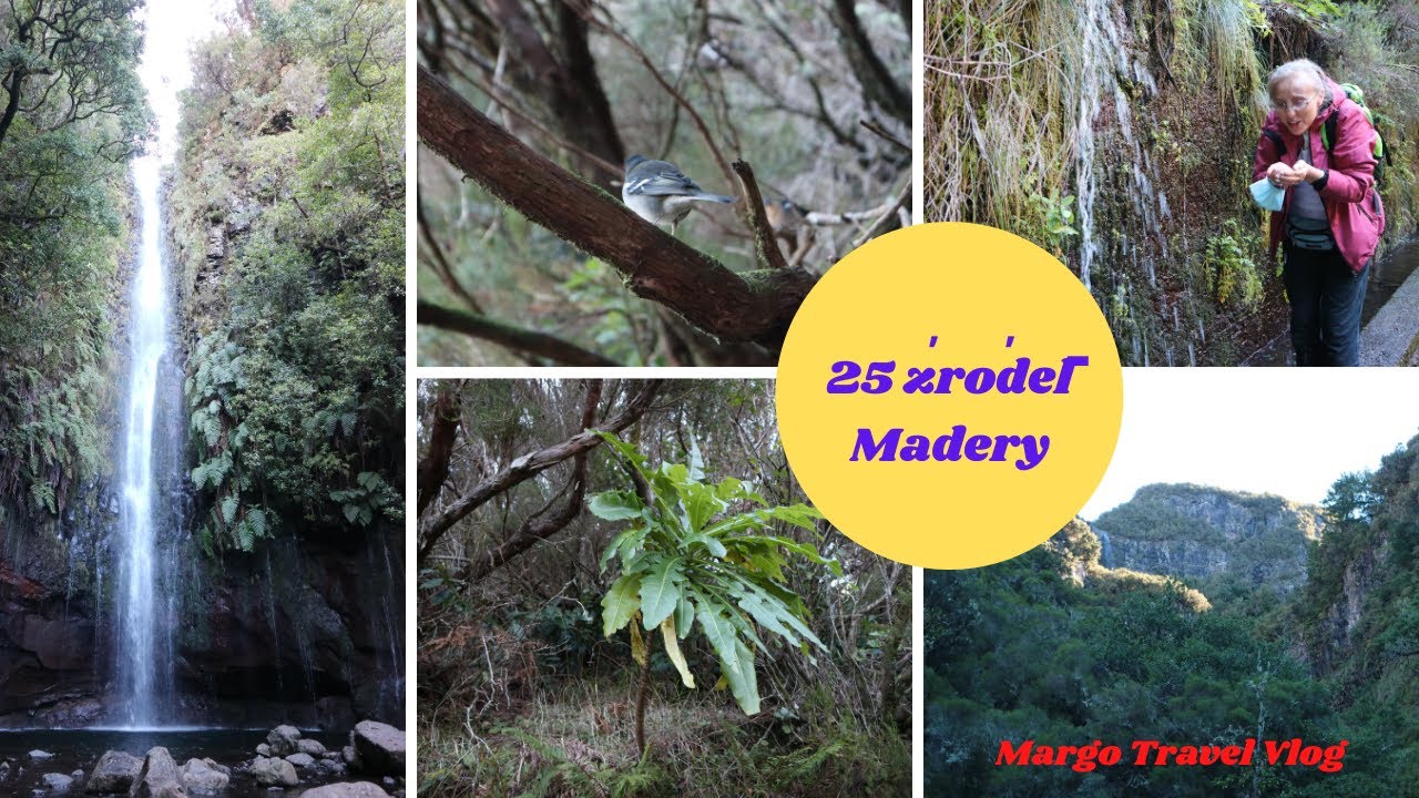 Las mgielny Wodospad Risco ⛲ i 🌊25 Zrodel na  Maderze🇵🇹