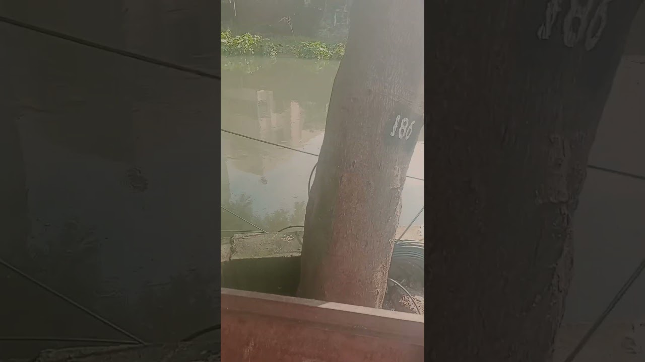 kuvam river  koyembedu-Chinmayanagar flood #shorts #floods #chennai