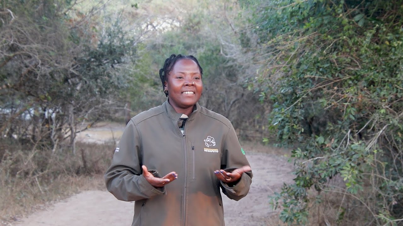 Collaboration builds peace in nature