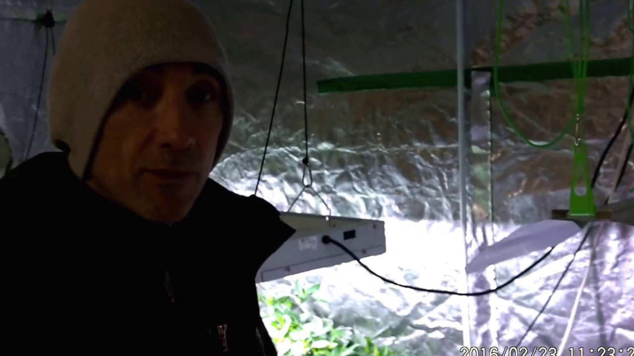Powerplant 250w Metal Halide Veg Bulb