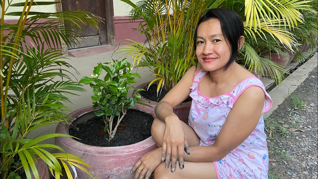 #18 [Seyha Nin] របៀបដាំផ្កាម្លិះ