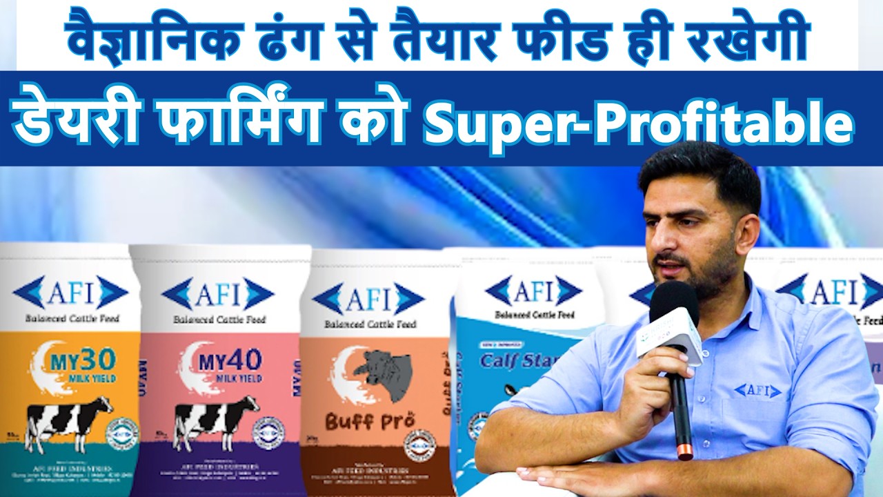 वैज्ञानिक ढंग से तैयार फीड ही रखेगी डेयरी फार्मिंग को Super-Profitable !!