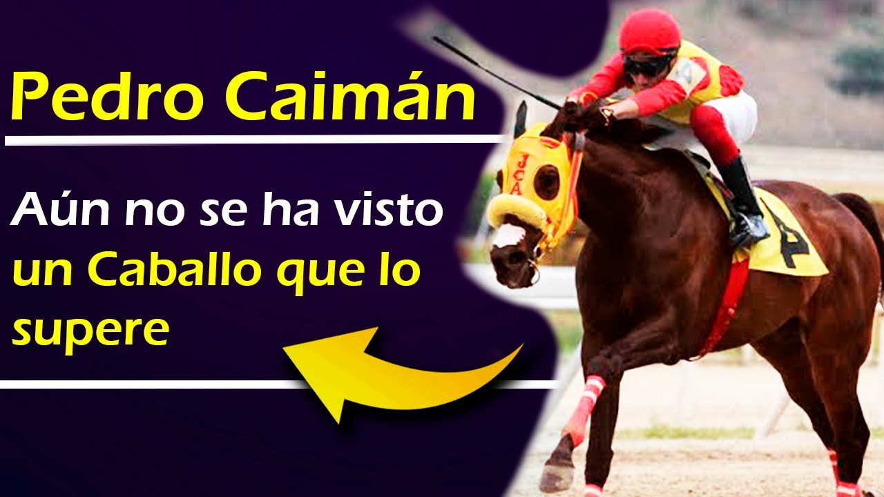 PEDRO CAIMAN 👉 3 VICTORIAS BRUTALES donde Muchos dicen que superó a SIR FLIER y a BURKING ¿Es así?