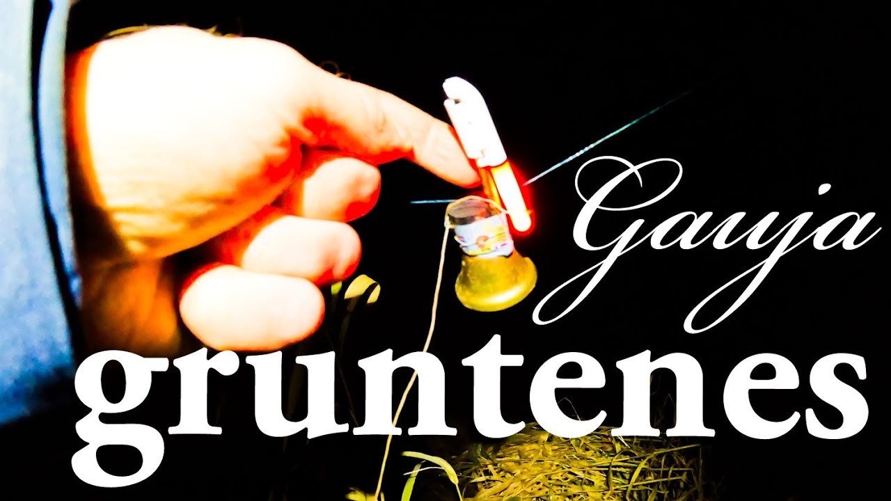 Gruntenes, Gauja. 