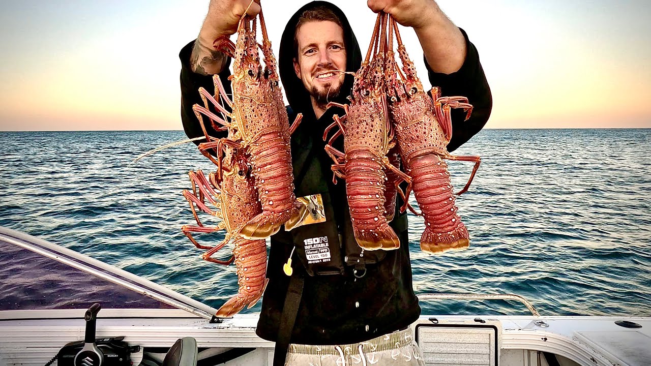 Solo Crustacean Catch ( Lobster Pot Fishing )