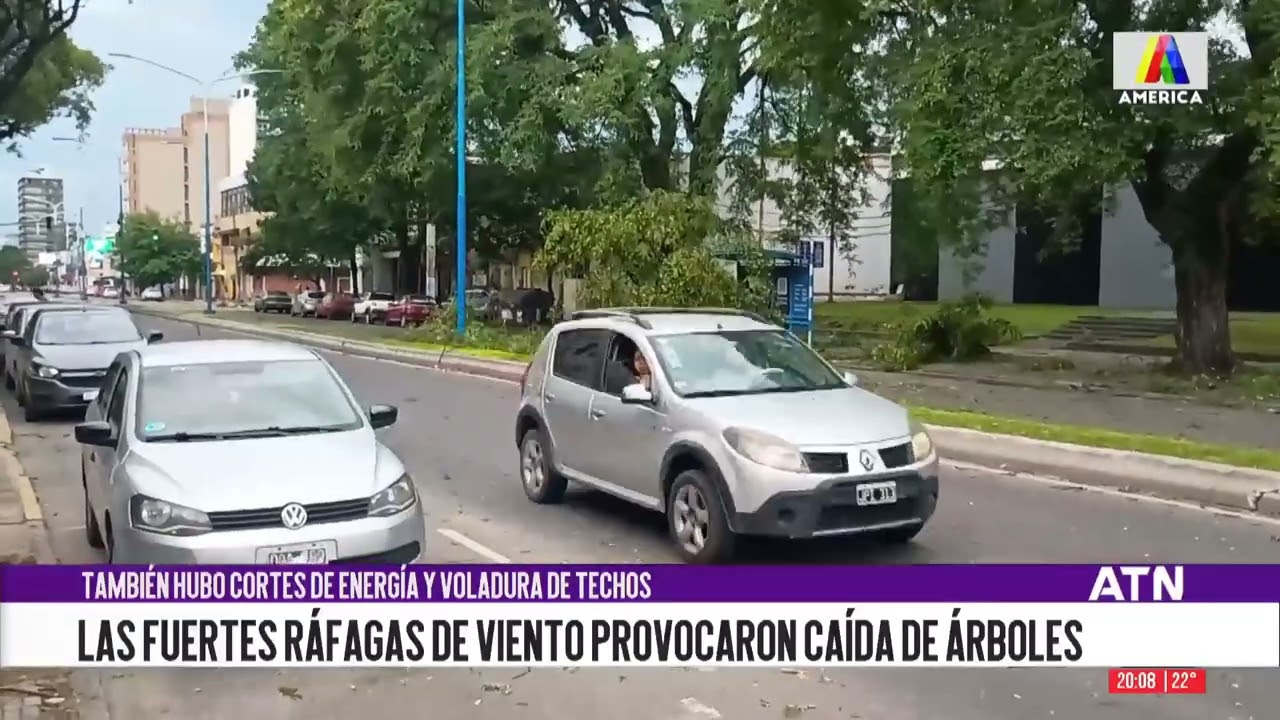 Fuertes vientos y lluvias en Tucumán: caída de árboles y cortes de energía