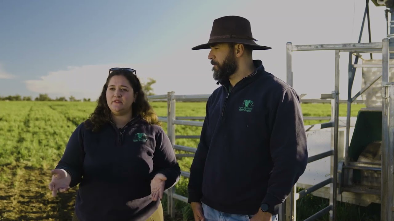 Low methane beef project