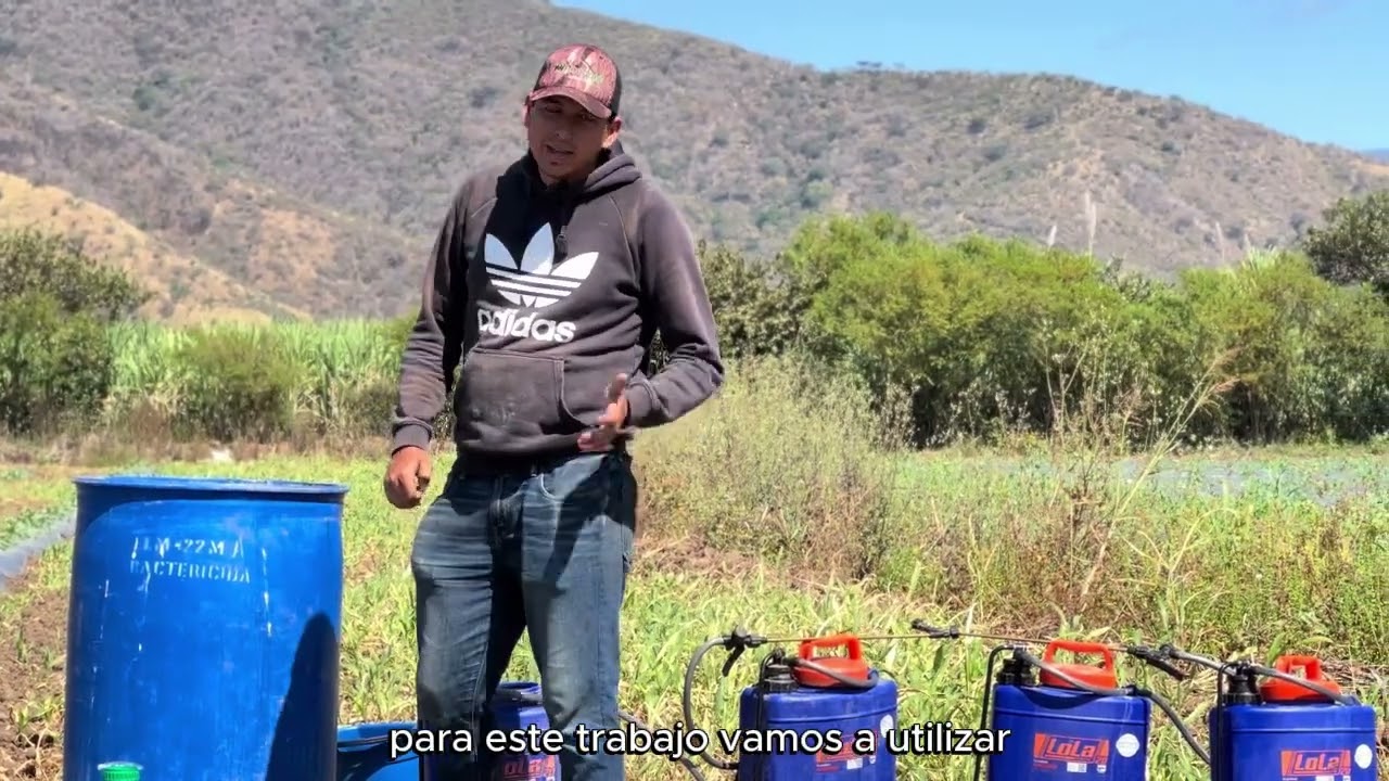 CONTROL DE MALEZA CULTIVO DE SANDIA