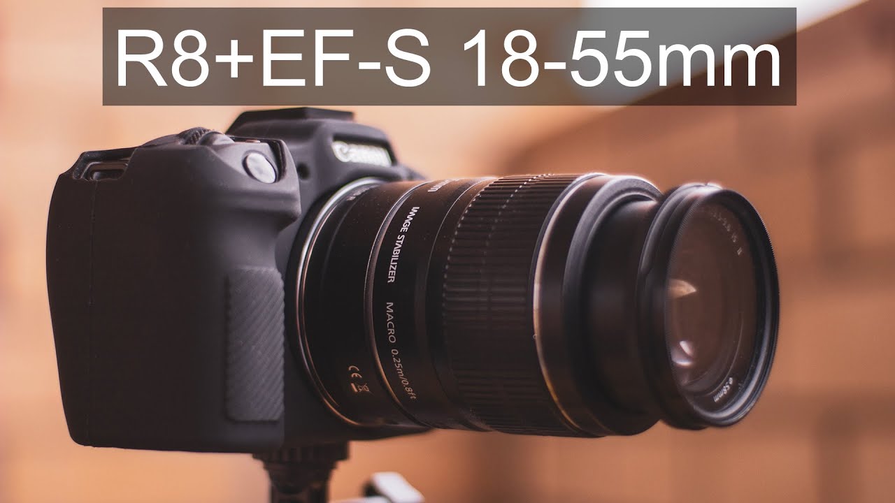 Canon R8 + Canon EF-S 18-55mm f3.5-5.6 IS II в каком-то парке под дождём