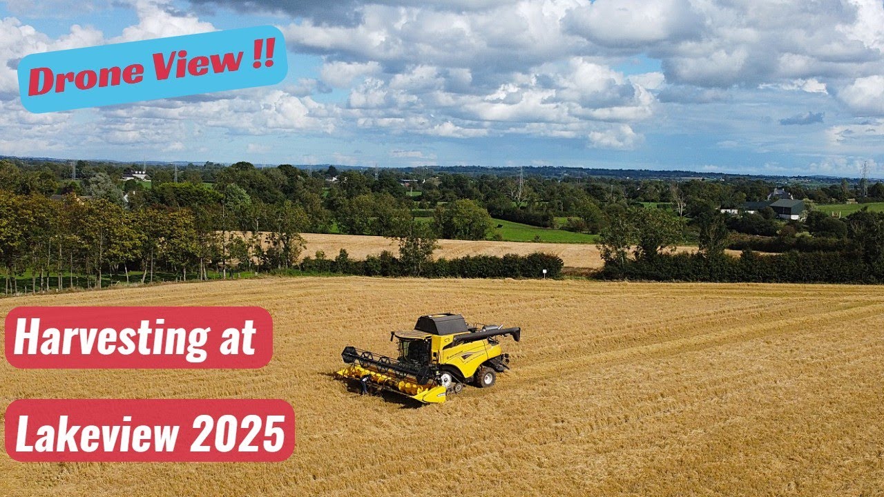 New Holland harvester at work, on Lakeview's barley fields.  Drone view.