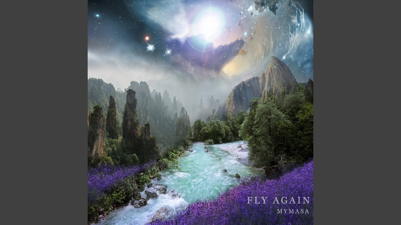 Fly Again