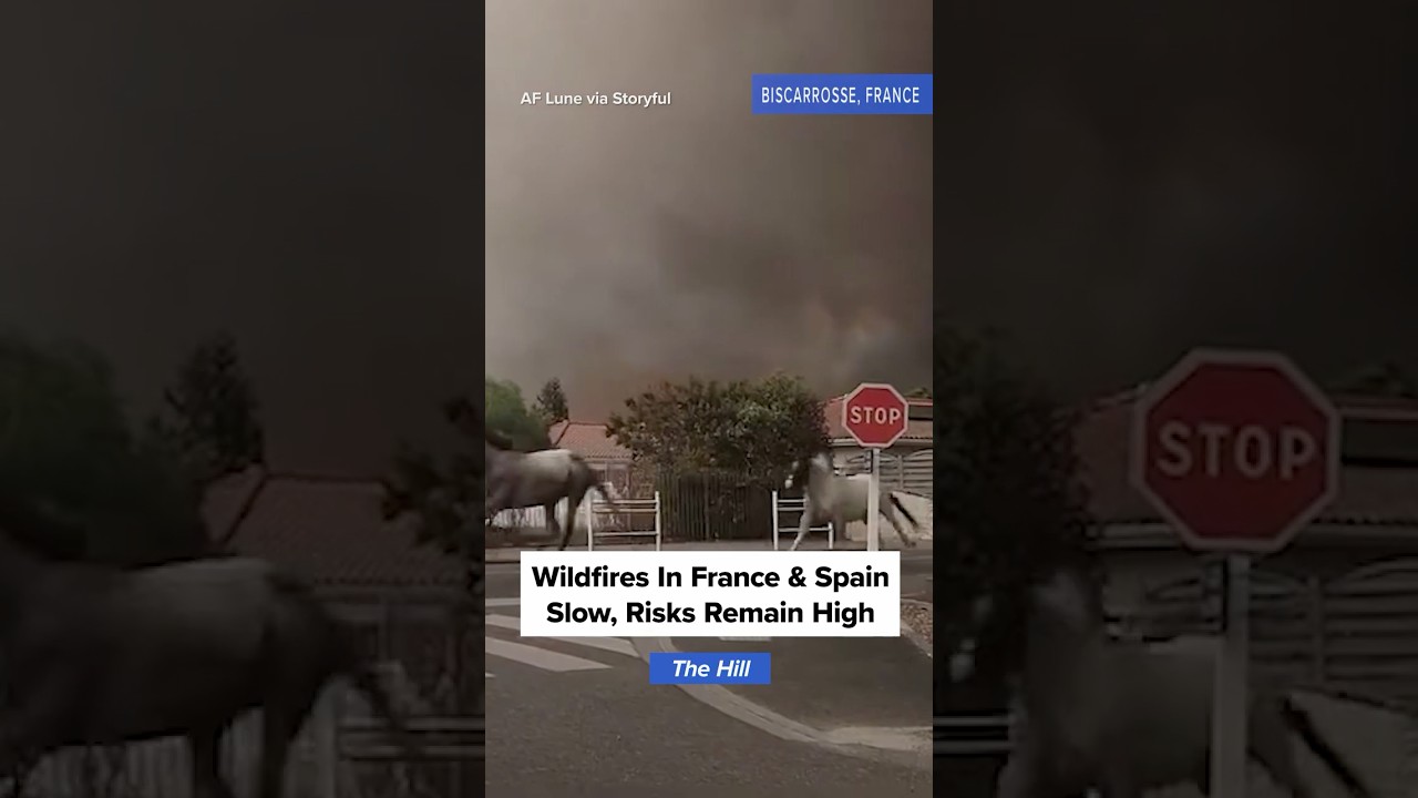 Wildfires in Spain and France slow but new heatwave poses more risks