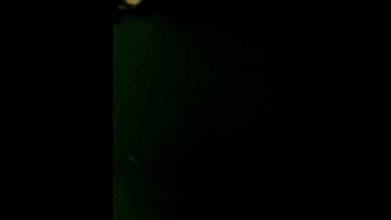 How to dry your marijuana using a microwave