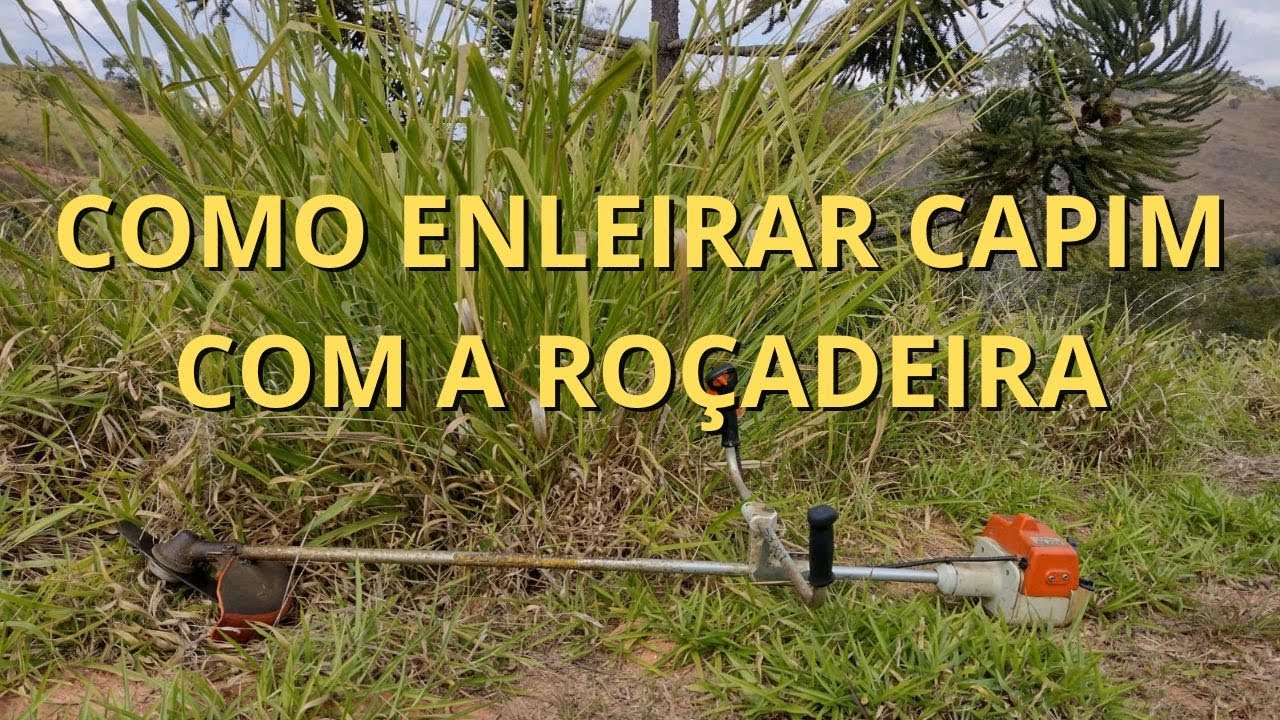 Como ro&ccedil;ar capim velho com a ro&ccedil;adeira costal