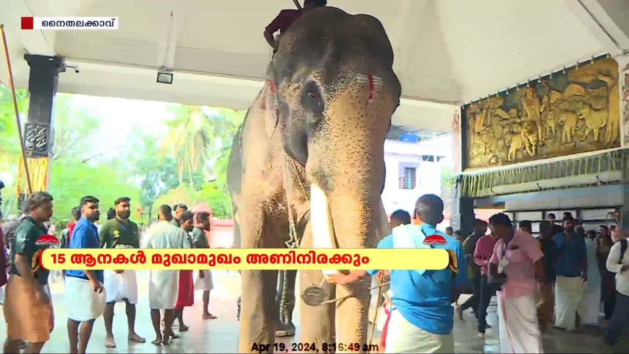 രാമൻ തിടമ്പേറ്റും..! നൈതലക്കാവിലമ്മയുടെ തിടമ്പേറ്റാൻ തെച്ചിക്കോട്ടുകാവ് രാമചന്ദ്രൻ