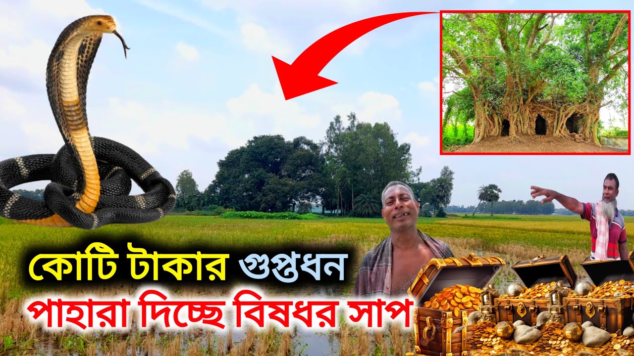 শত কোটি টাকার গুপ্তধন পাহারা দিচ্ছে বিষধর সাপ | বগুড়া | Guptodhon bogura | Historical information