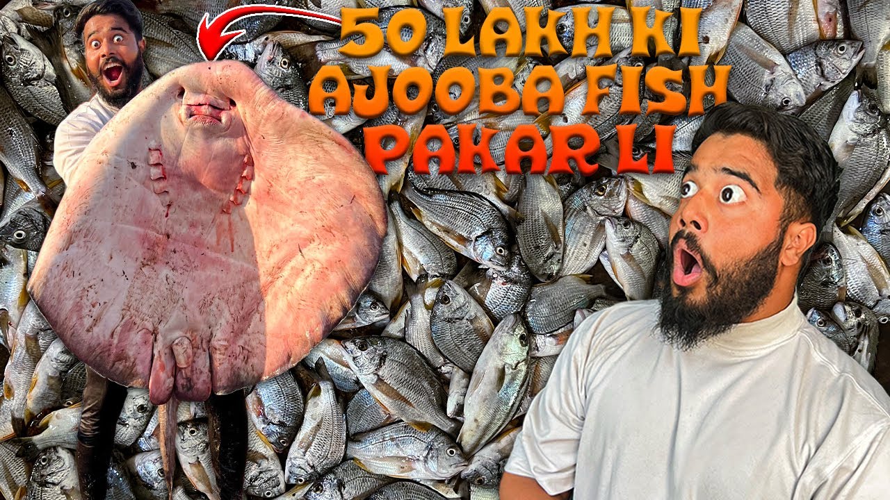 50 LAKH KI AJOOBA FISH PAKAR LI 😱 | SYED FAHAD | THE FUN FIN