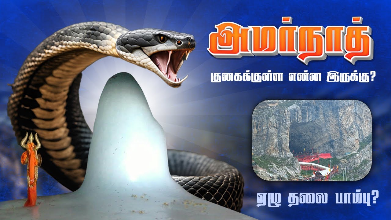 ஏழு தலை பாம்பா? 😱அமர்நாத் பயணம் PART 2 - 2024 | AMARNATH YATRA | AMARRNATH Trip Vlog
