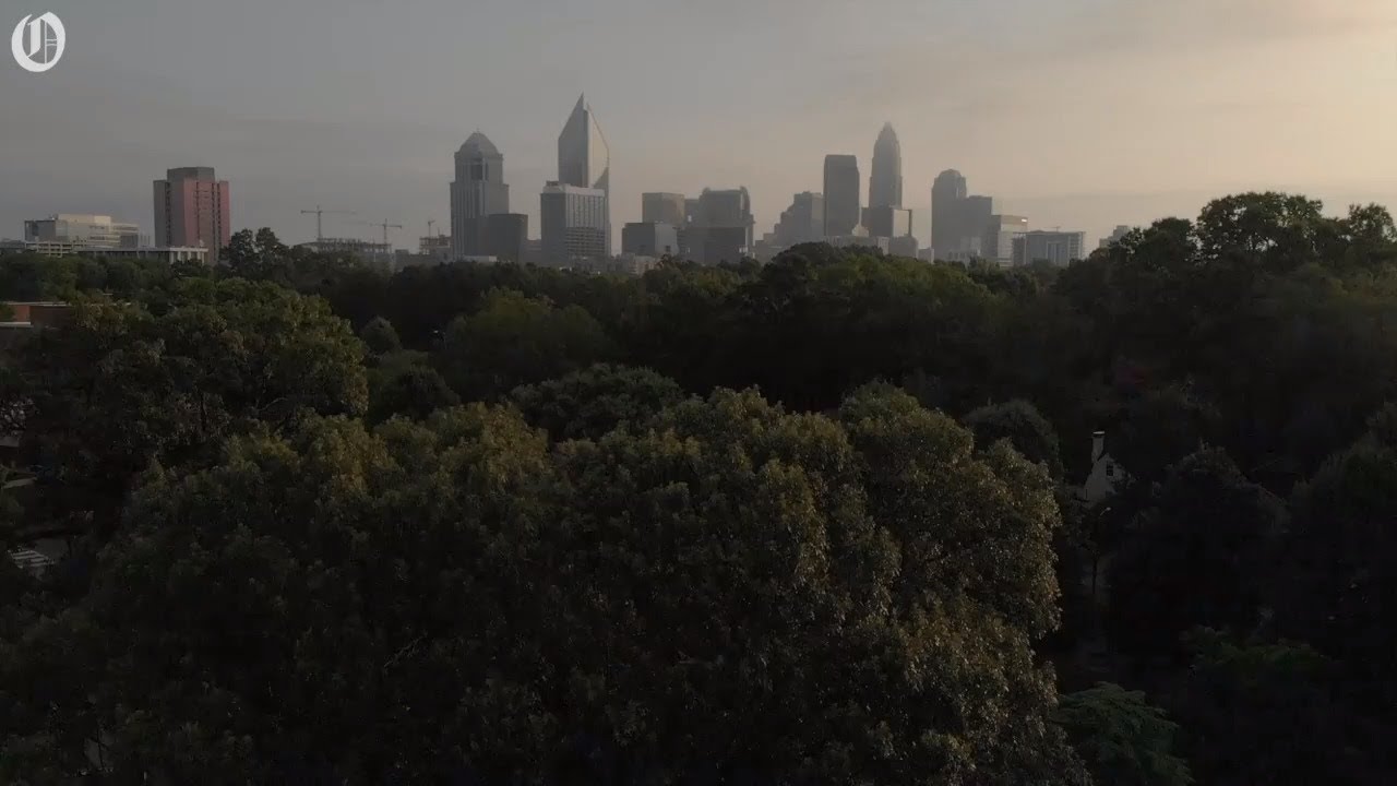 Charlotte sees loss of tree canopy in latest study