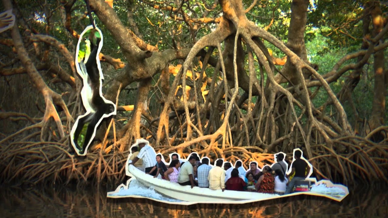 Mangroves - Natural Numbers EP 04
