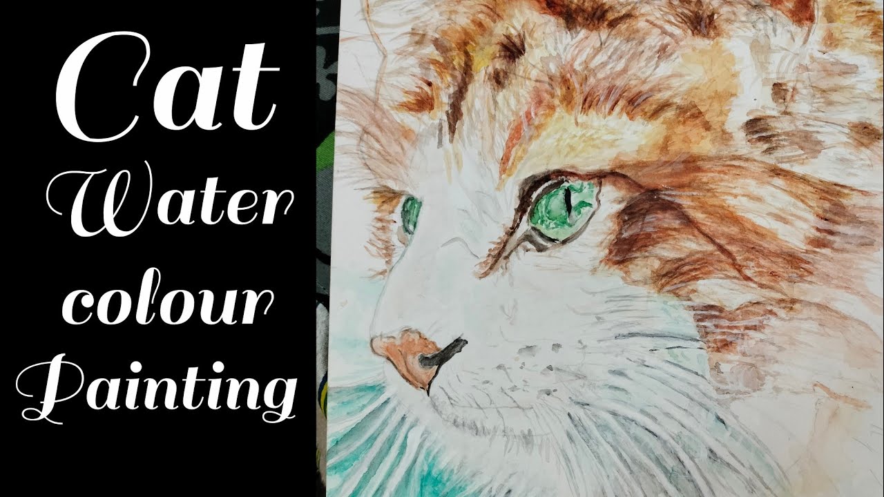 Cat water colour painting gk 