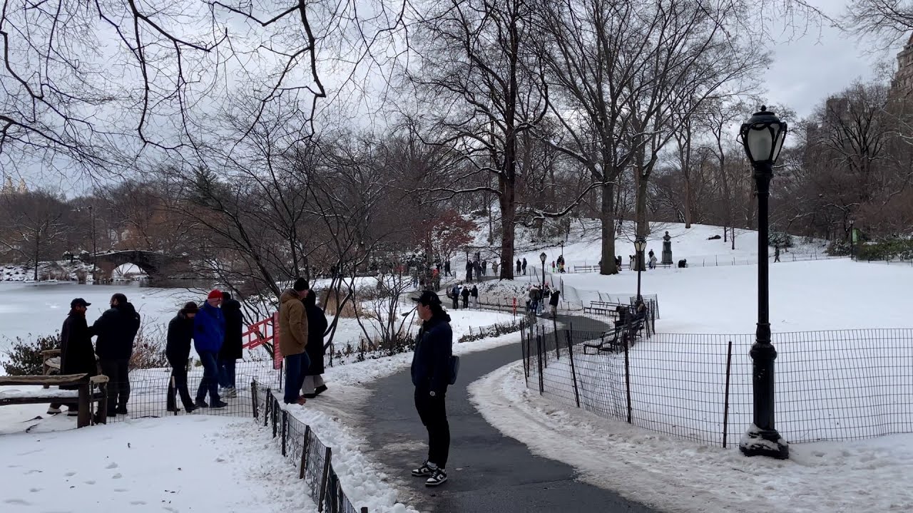 Moving Pictures: February in New York City (2025)
