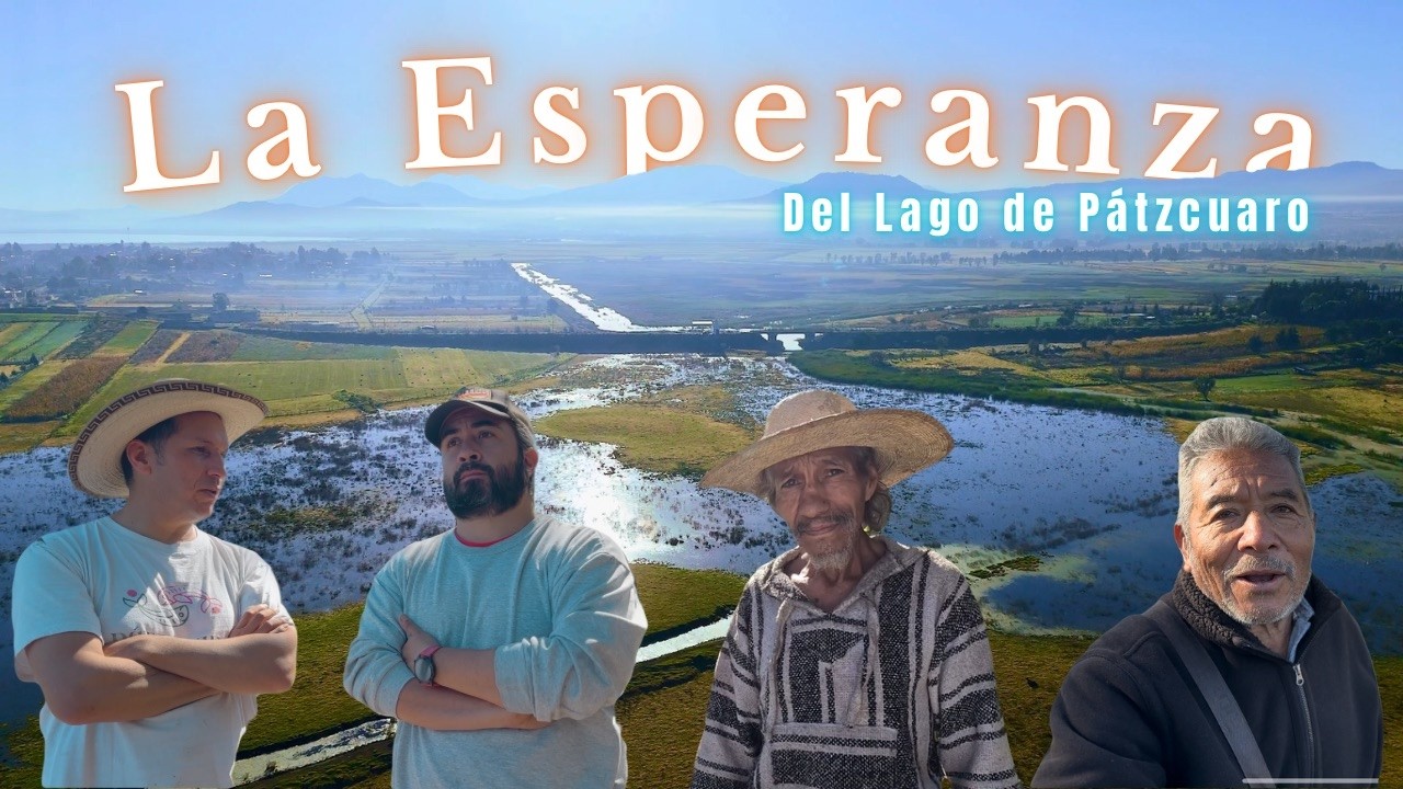 El Milagro de los Manantiales: Jarácuaro se Convierte en la Esperanza del Lago de Pátzcuaro