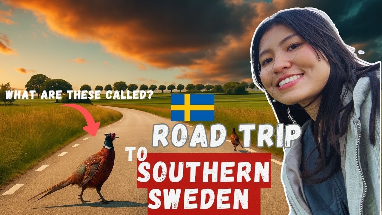 These Birds STOPPED Our Southern Sweden Road Trip (Österlen)
