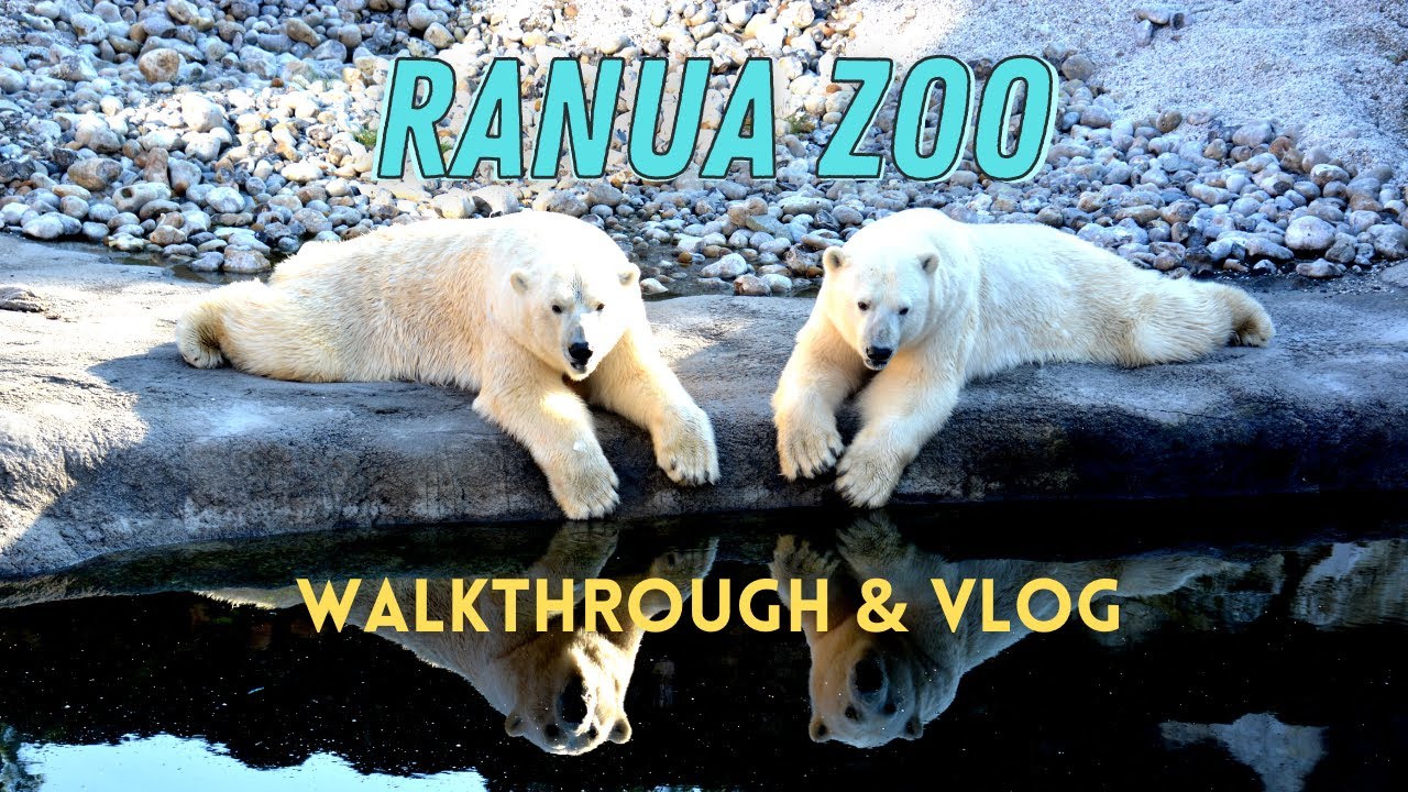 Ranua Zoo Wildlife Park Walkthrough, Guide & Vlog