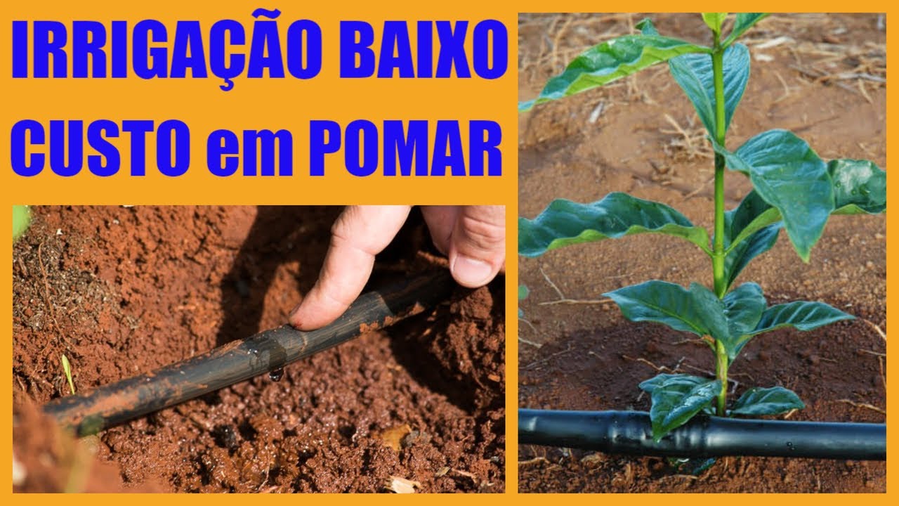 КАК ВЫПОЛНЯТЬ НИЗКИМ ОРОШЕНИЕ КАПЛЯЕМ В САД. Эффективн...