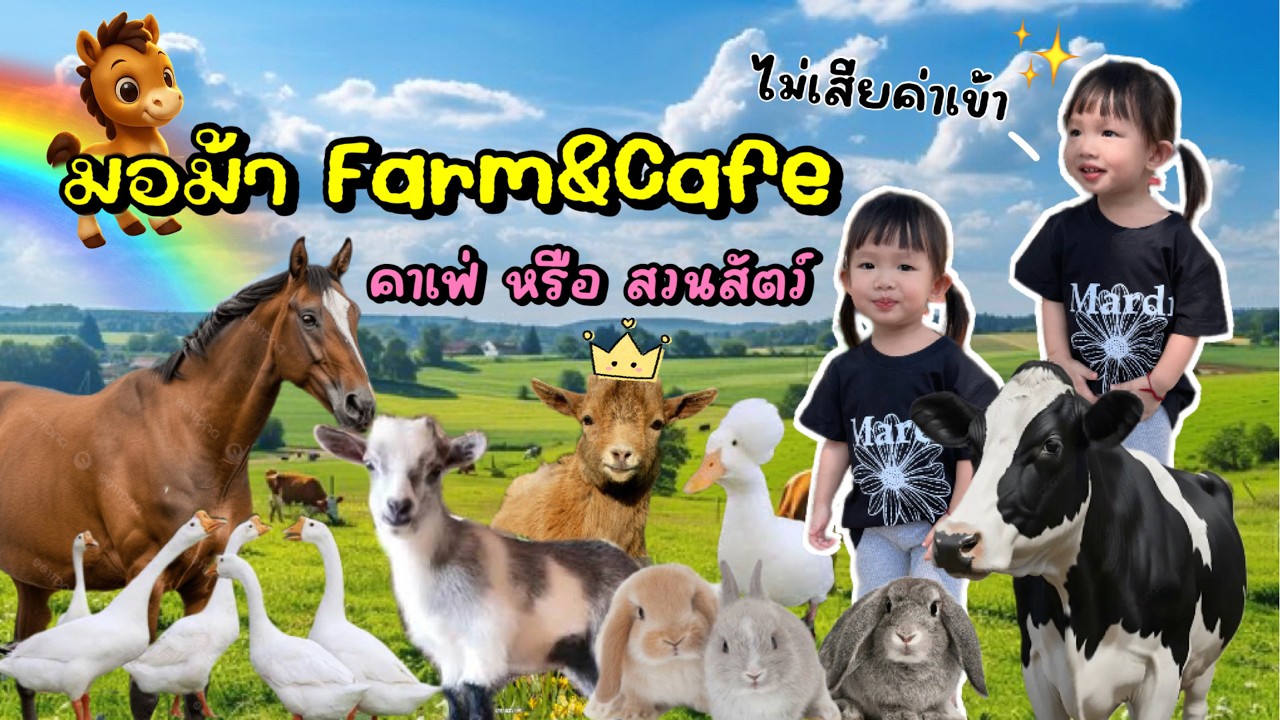 ปี2026| เหมือนรักครั้งแรกของลูก🐴💖เที่ยวมอม้าฟาร์มแอนด์คาเฟ่วันเดียวแต่ความสุขเต็มร้อย| AvaGo Channel