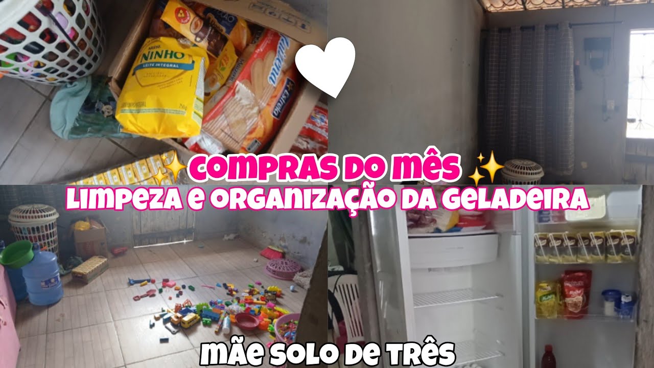 COMPRAS DO MÊS//LIMPEZA NA GELADEIRA+ORGANIZAÇÃO 💕