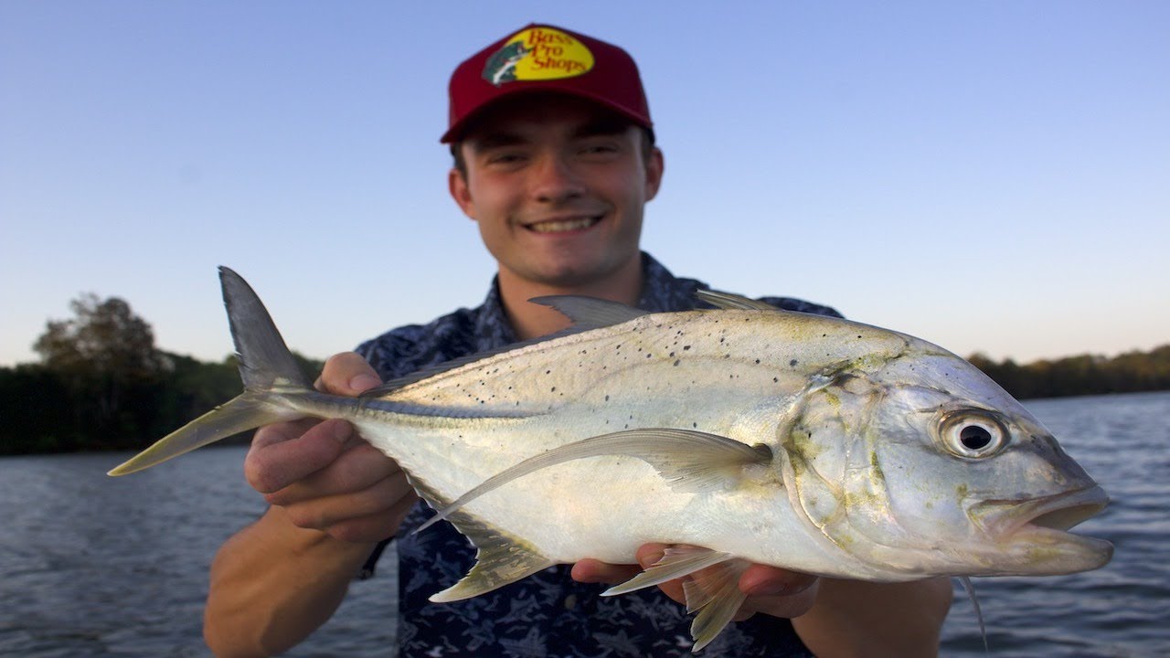 Brassy Trevally Going Nuclear on Topwater — Bellinger River (Coffs Coast)