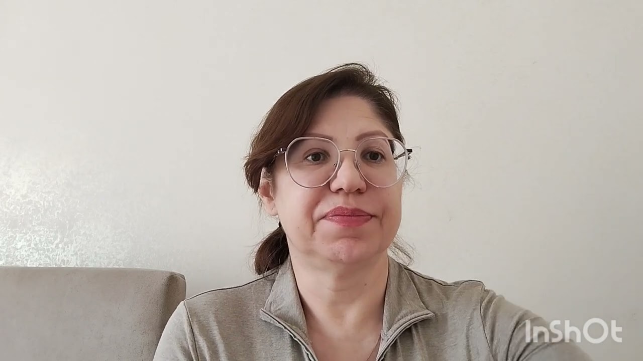 Новые правила в Стамбуле для уличных животных 