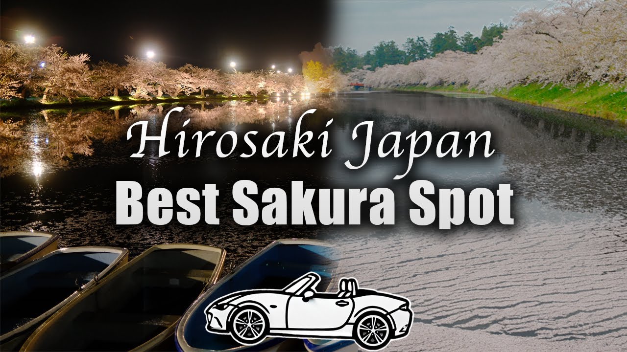 Driving Japan’s Sakura Paradise | Hirosaki Castle Cherry Blossoms