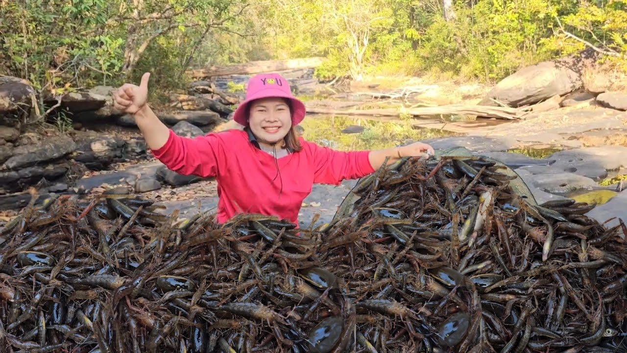 หมานสุดยอด​จ้า! ดิ้นซวดๆ​ กุ้งโหม่งกุ้งก้ามแดงวังหิน​ตัวใหญ่ไซส์​สวยๆ แต่ละหลังวันนี้ยกโต้น​ 10ธ.ค69
