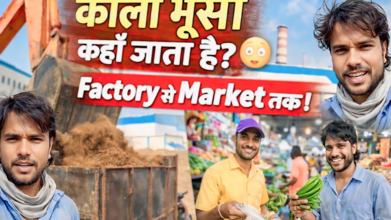 शुगर फैक्ट्री का काला भूँसा कहाँ जाता है? 😱 | Loading से Market तक पूरा सच