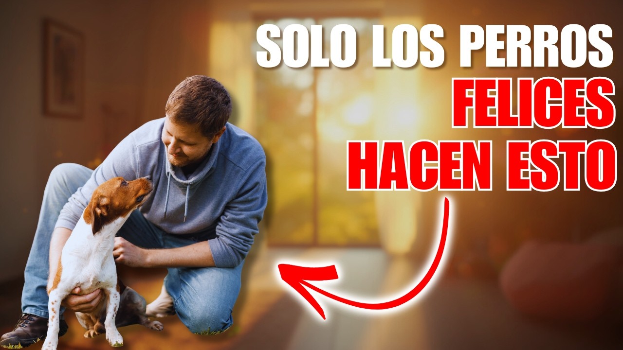Si tu perro hace esto, ya es feliz (aunque no te des cuenta)