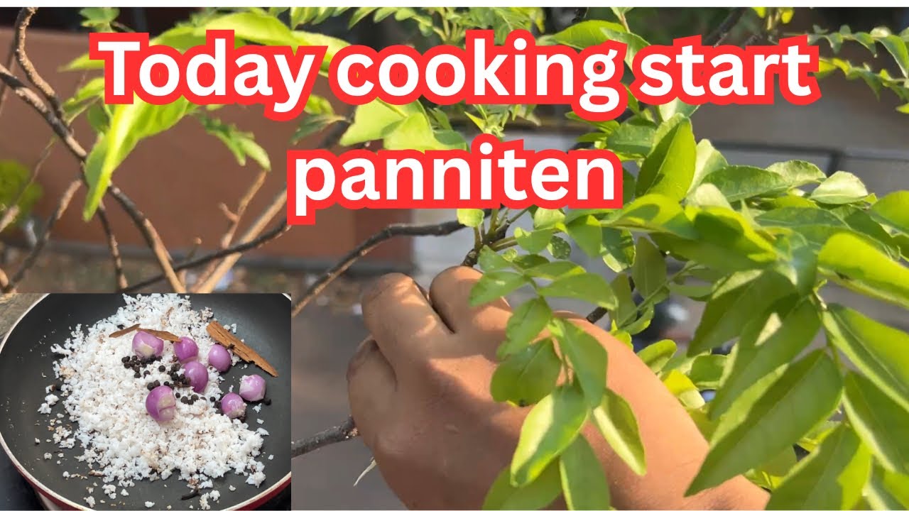 Cooking start panniyachu | pazhampori | vlogswithmasterishi
