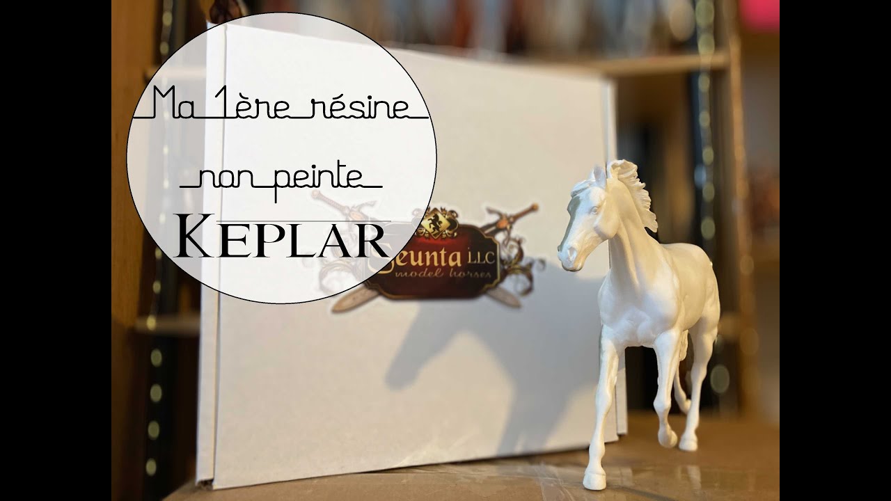 [Colis #11] ~Ma 1ère résine non peinte~