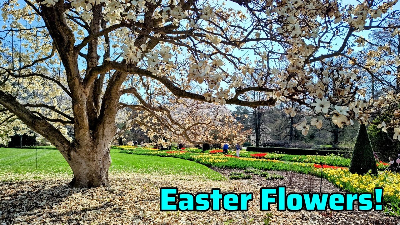 Longwood Gardens Easter Weekend 2026 | Spring Flowers