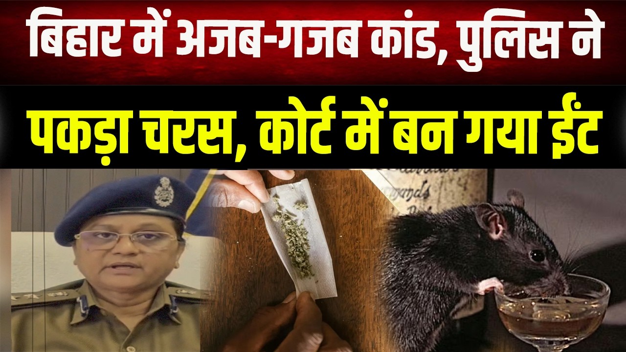 Bihar में अजब-गजब कारनामा, 25 किलो चरस बन गई ईंट, कई लोगों के खिलाफ कार्रवाई