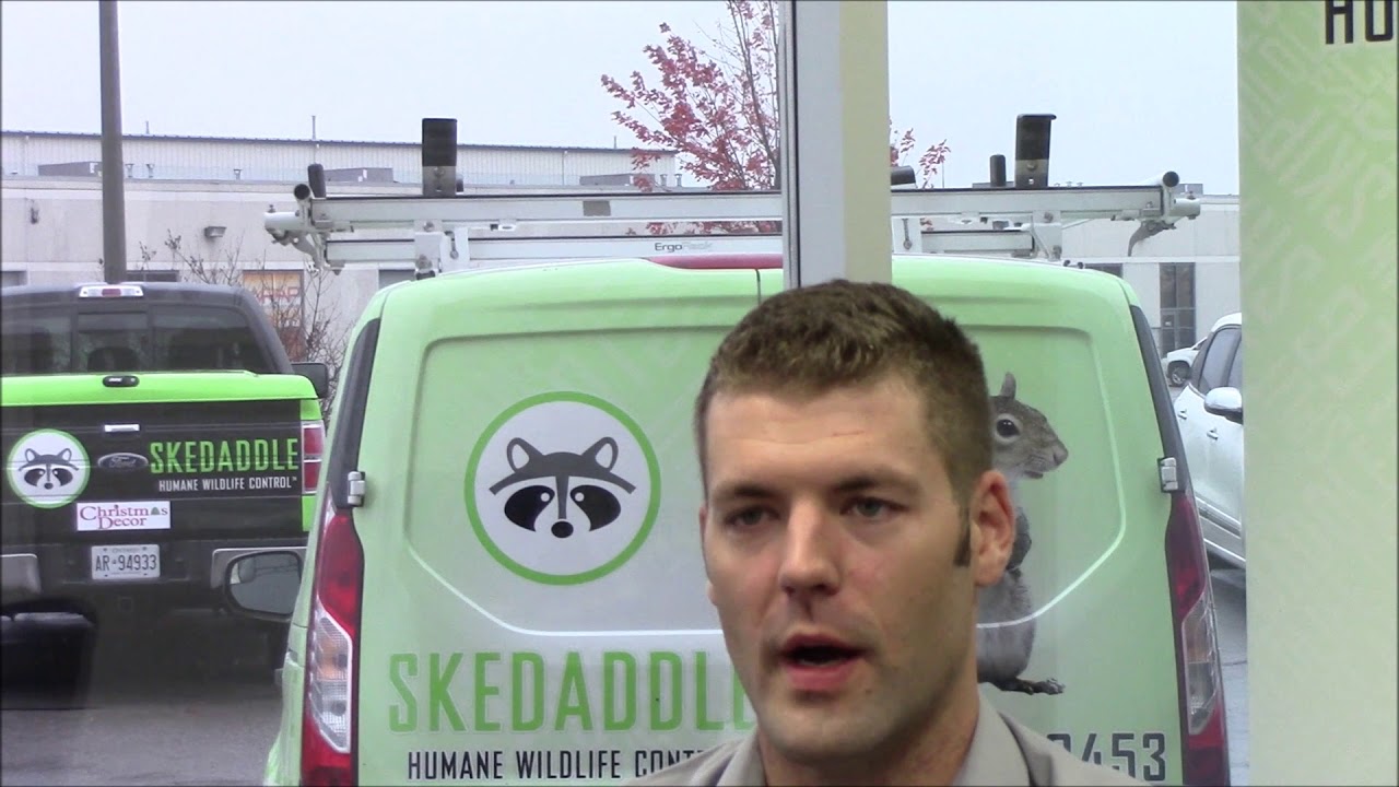 Skedaddle Franchise Inquiry: What is your vision for the growth of your franchise?